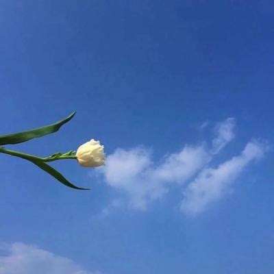 白蛇传online手游下载