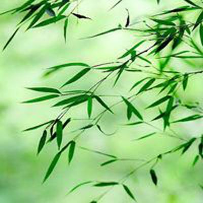 一剑问情果盘官方版下载